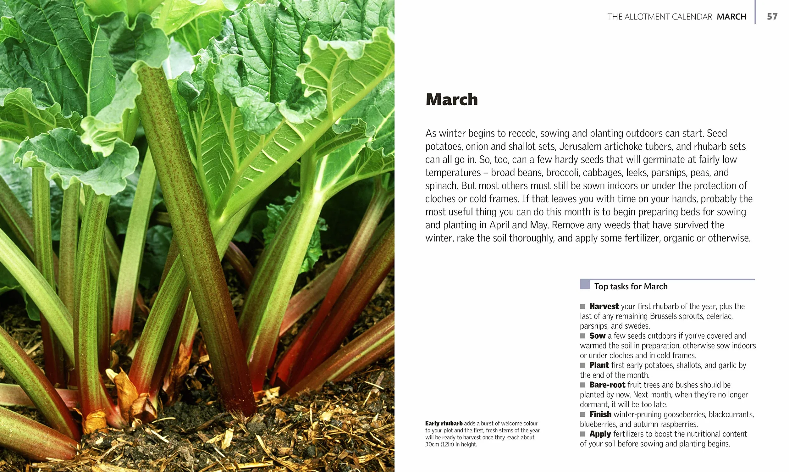Allotment Month By Month: Grow your Own Fruit and Vegetables, Know What to do When