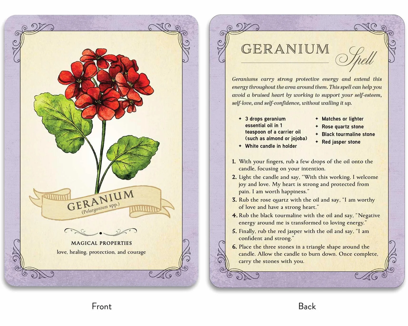 The Green Witch's Deck of Magical Herbalism: 50 of the Most Magical Plants, Herbs, and Flowers to Empower Your Craft