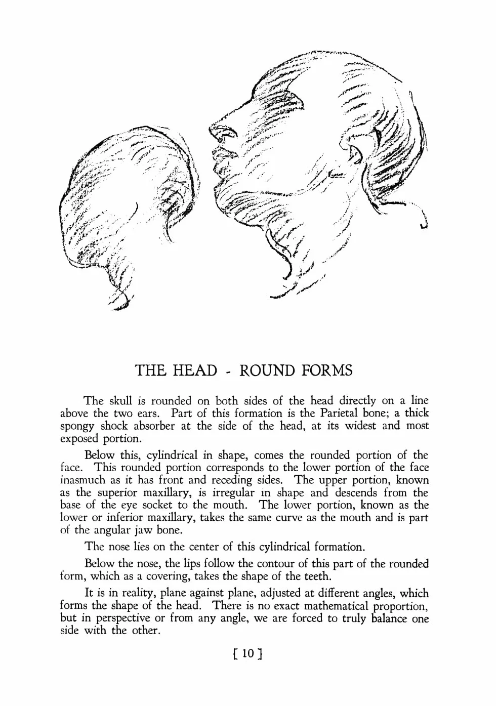 Heads, Features and Faces