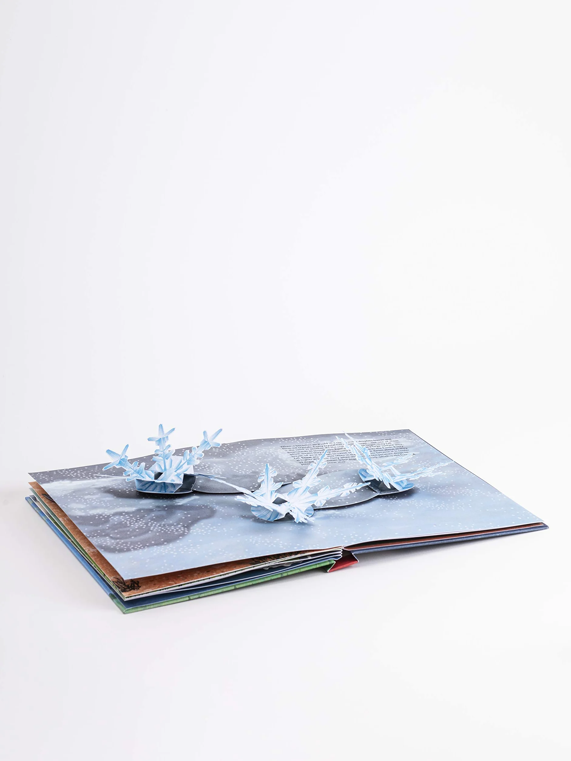 The Weather Pop-Up Book /anglais