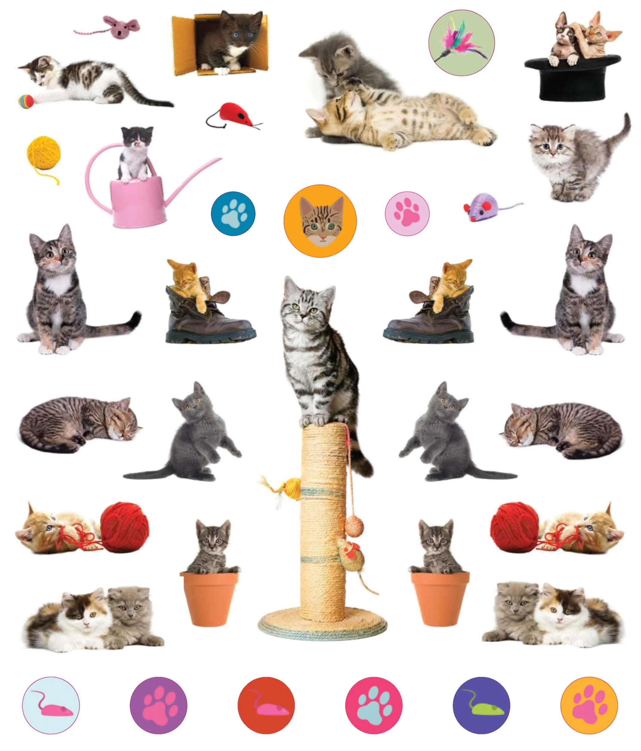 Eyelike Stickers: Kittens: 400 Reusable Stickers: 400 reusable stickers, inspired by nature