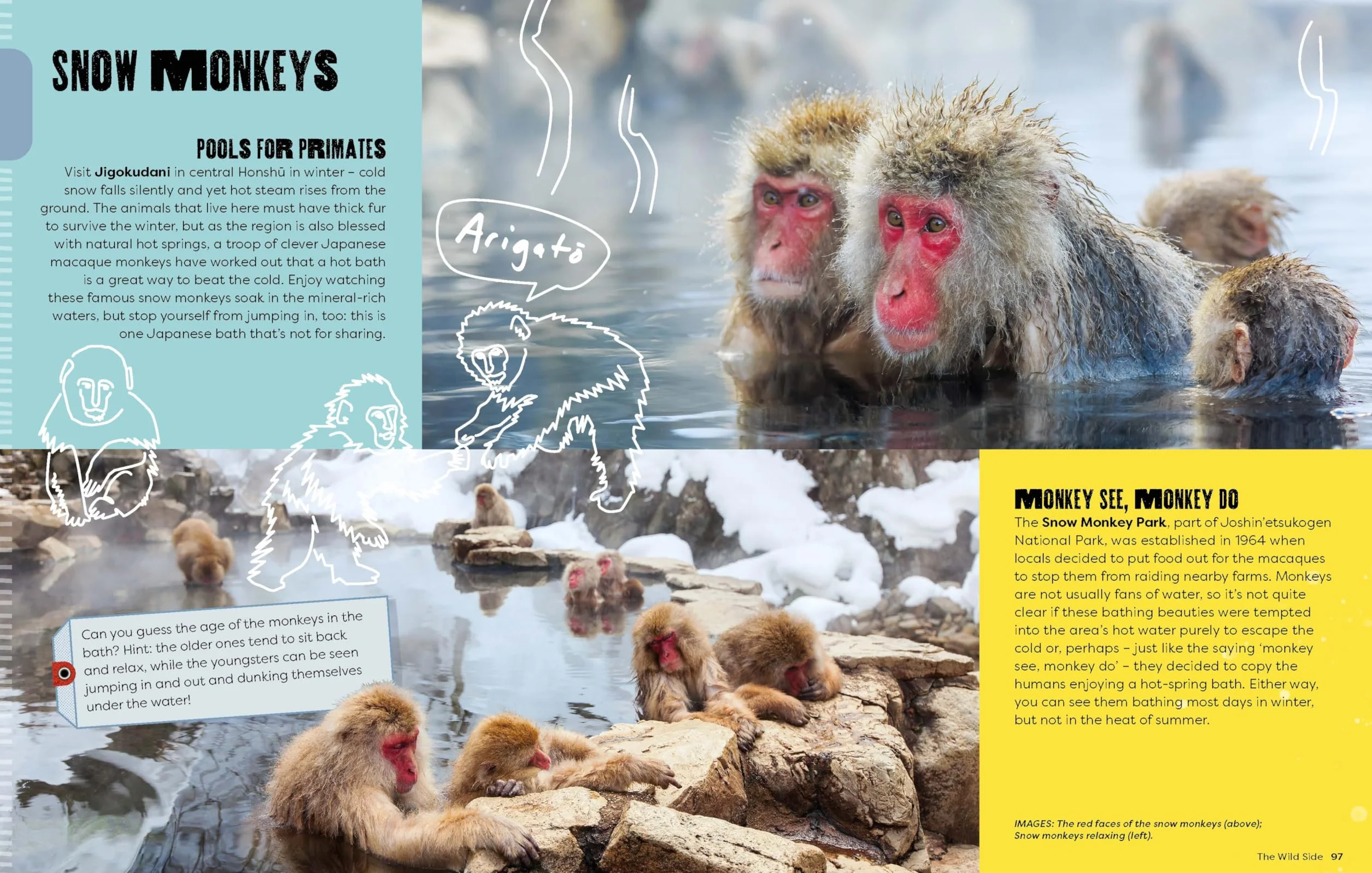 Lonely Planet Kids A Kid's Guide to Japan: Unlock the Magic of Travel | Discover Secret & Surprising Places | Packed with Amazing Facts, Top Spots & Vibrant Photography