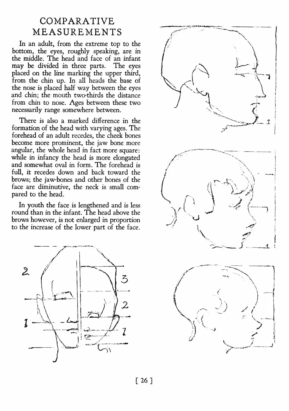 Heads, Features and Faces