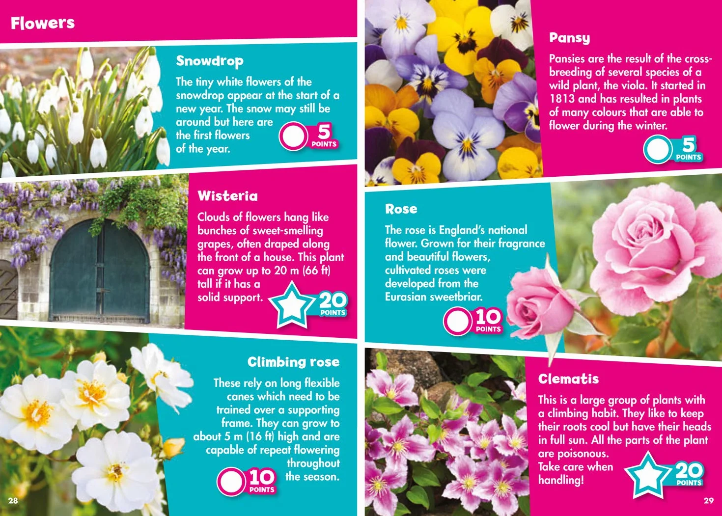 i-SPY In the Garden: Spy it! Score it!