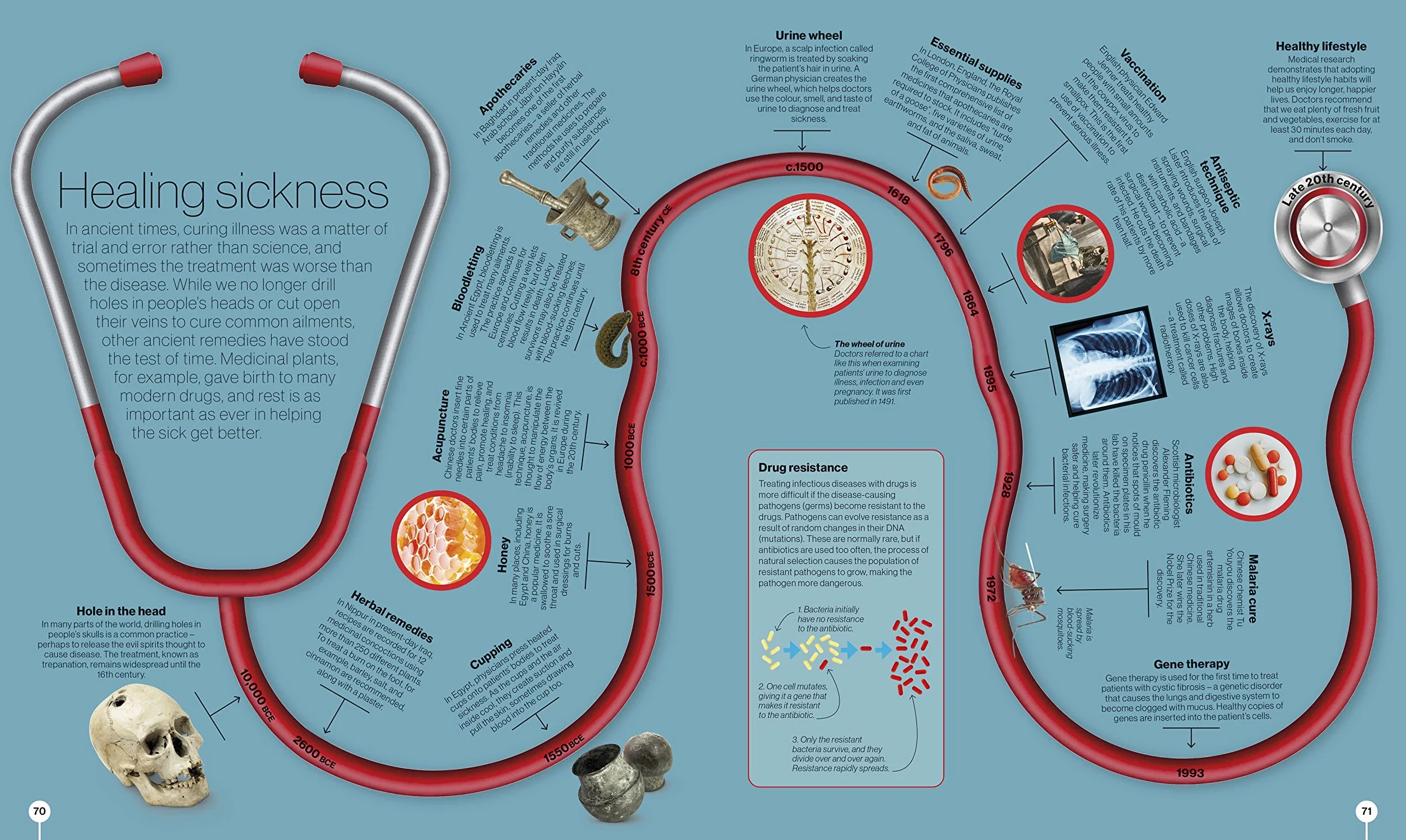 Timelines of Science: From Fossils to Quantum Physics