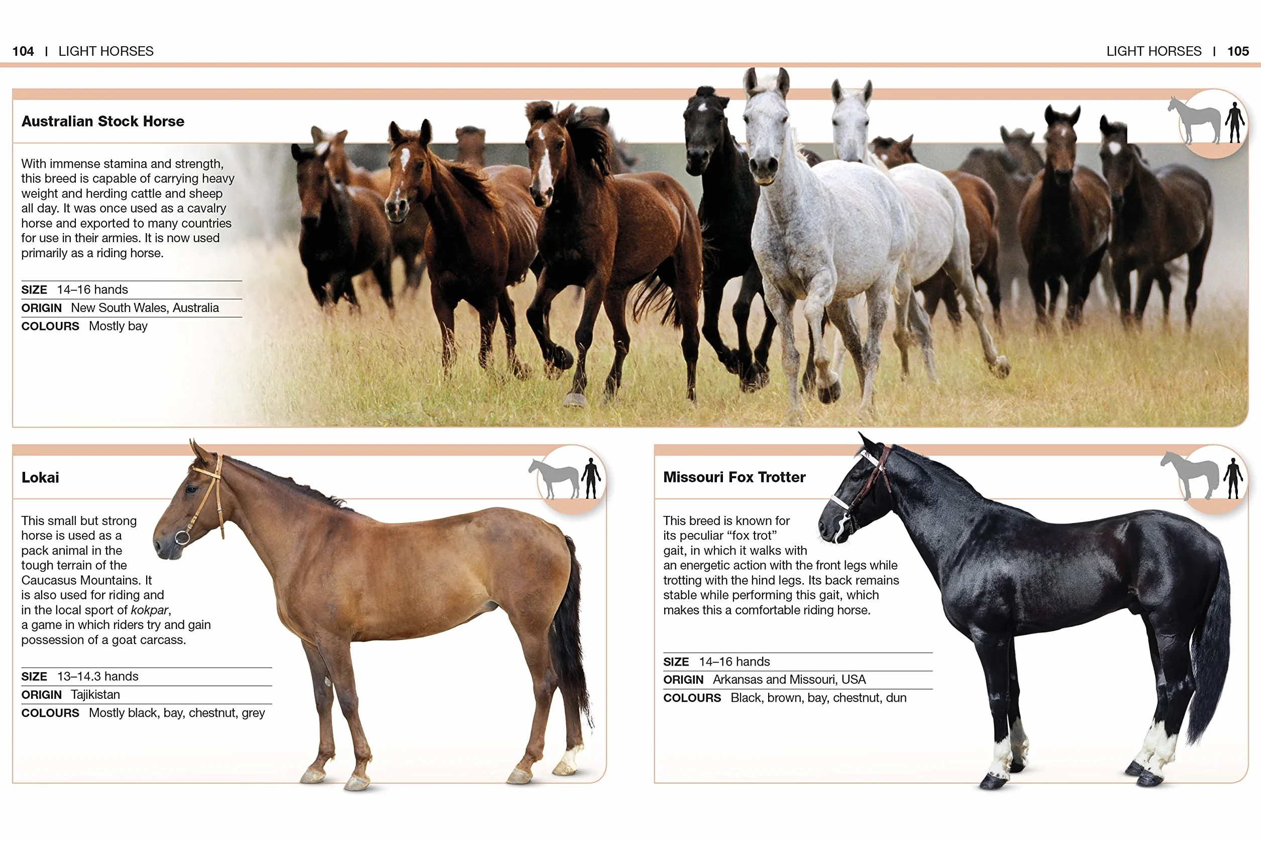 Pocket Eyewitness Horses: Facts at Your Fingertips