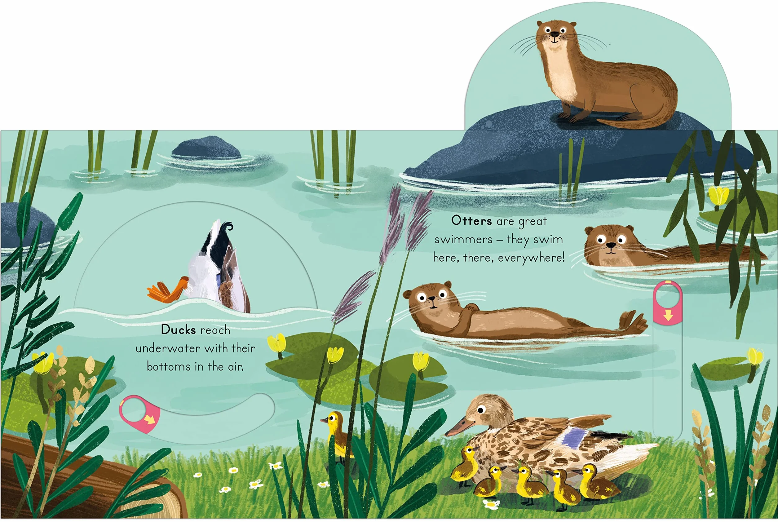 National Trust: Big Outdoors for Little Explorers: River