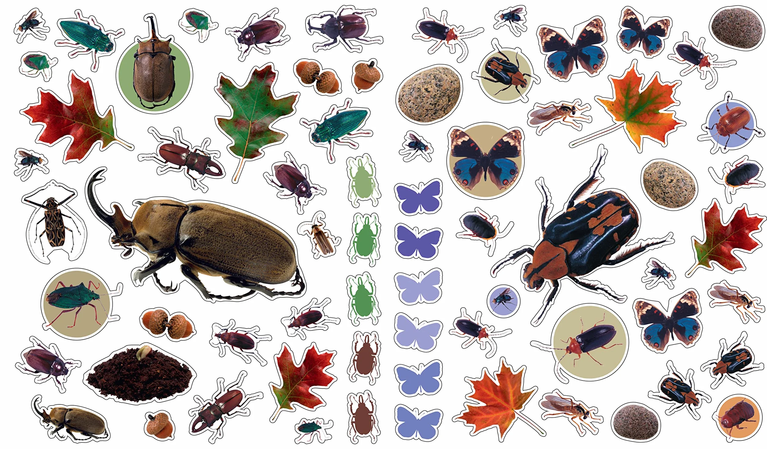 Bugs (Eye Like Stickers)
