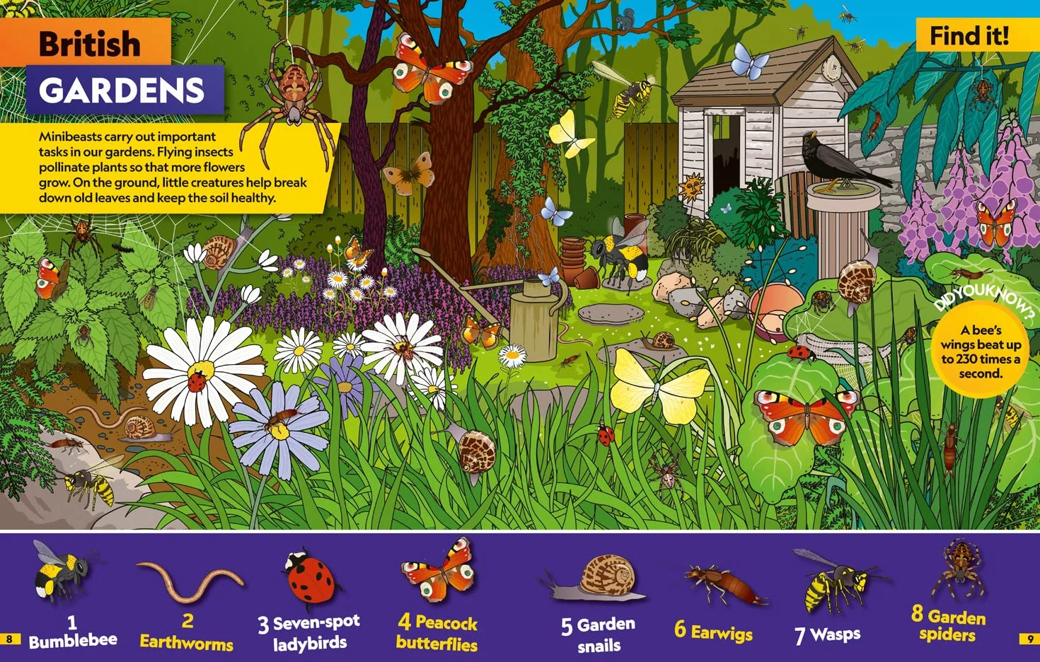 Insects Find it! Explore it!: More than 250 things to find, facts and photos!