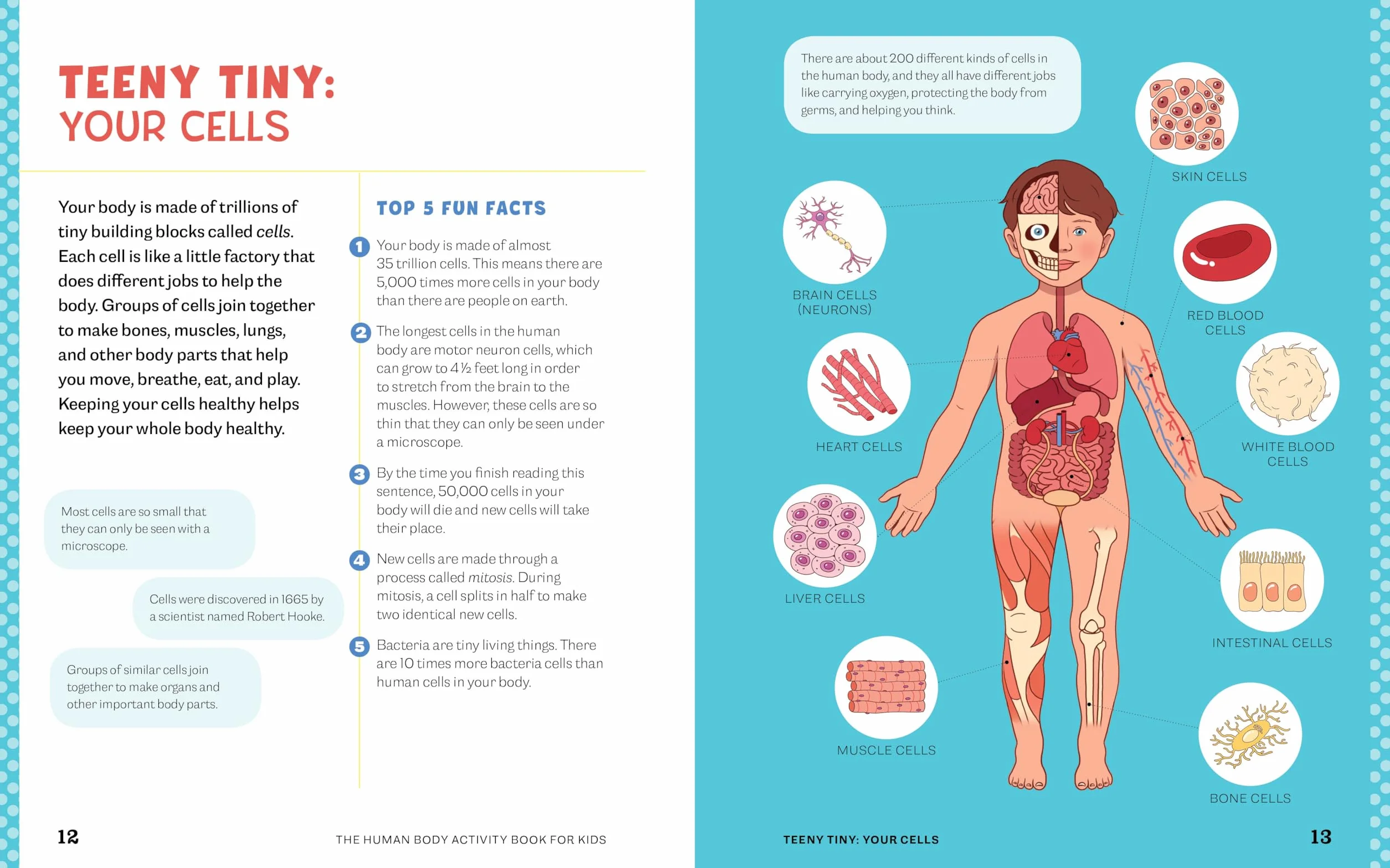 Human Body Activity Book for Kids: Hands-On Fun for Grades K-3
