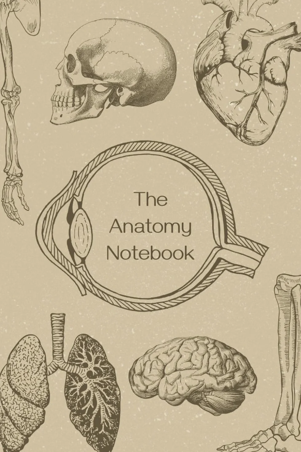 The Anatomy Notebook